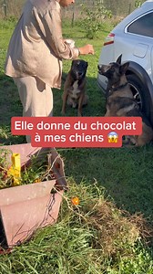 Du chocolat aux chiens ??? 🍫🐕 #ninolemalou #ades #chien #chocolat | Ninolemalou.officiel