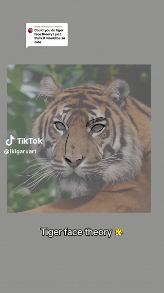 Animal Face Theory: Drawing Cute Tiger and Other Animal Features