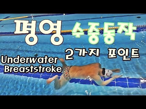 수영강습 / (ENG) 평영스타트동작 배우기 / Steps for beginning Breaststroke