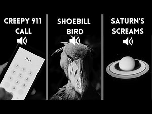 SCARIEST Real Audio Recordings