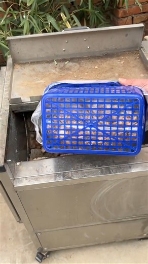 Powerful Root & Mushroom Washing Machine | Fast, Clean & Efficient Food Cleaning Solution 🍄🥔🧄