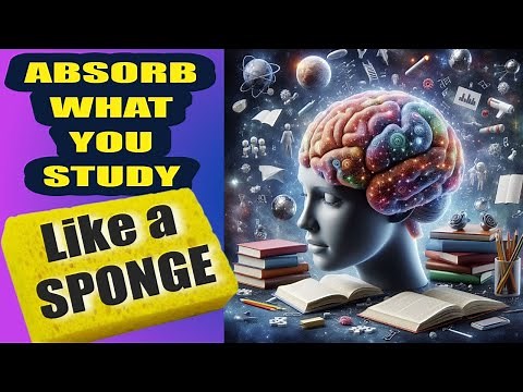 Absorb Everything You Study Like A Sponge. 7 Genius Ways!