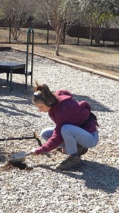 5.9K views · 129 reactions | New Series: Apex Tips & TechniquesWe will be dropping short videos about different tips and techniques for your Apex so you can find your bucket list items this year! If you are new Garrett user or an experienced one, we want to provide the best quality information about the Apex to run it affectively! New videos drop every Tuesday Happy Hunting!#garrett #garrettapex #garrettapexfinds #metaldetecting #metaldetectingfinds | Garrett Metal Detectors | Facebook