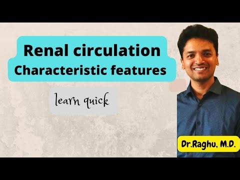 Renal circulation - Characteristic features (Learn in less than 3 minutes for exam)