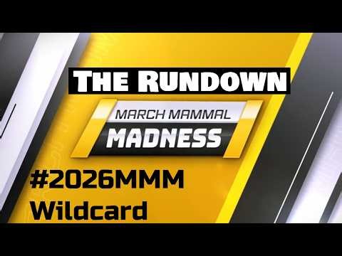 #2026MMM Wildcard