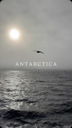 The White Continent 🇦🇶 🦭follow @wandering.luxe for travel inspo 📍Antarctica with @lindbladexp | Wandering Luxe