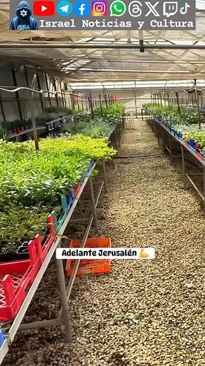 Agricultura en la capital de Israel 🇮🇱 | Israel Noticias y Cultura