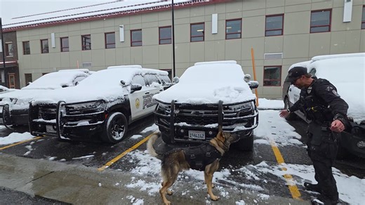 238K views · 4.7K reactions | It's a snow day in Mammoth Lakes!! | Mammoth Lakes Police Department | Facebook