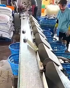 4.8K views · 25 reactions | Food Industry Machines That Are At Another Level. | Yarden Saxophone | Facebook