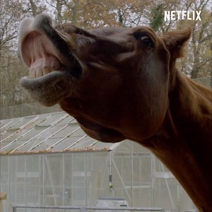 For the first time in history, we've landed an exclusive interview with the most important character in 📺: The Witcher universe. | Netflix