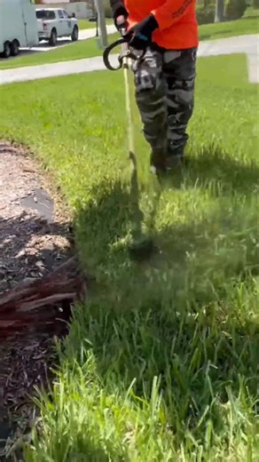 A Solution For EVERYTHING!!! #landscape #tree | Lawn care