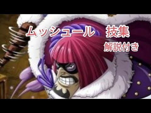 ワンピース ムッシュール 技集（エピソードオブチョッパー+）（解説付き）