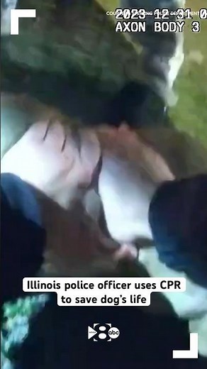 Illinois police officer uses CPR to save dog’s life