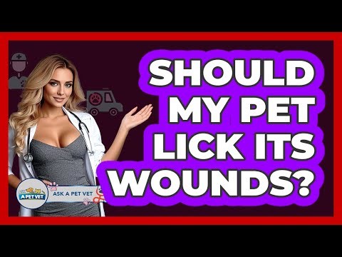 Should My Pet Lick Its Wounds? - Ask A Pet Vet