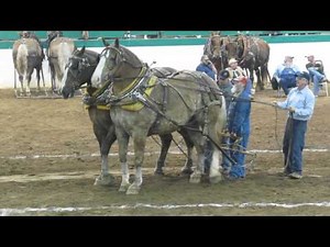 Heavyweight Team Full Pull 10,000 lbs