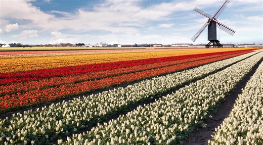 "Going Dutch": American show about Dutch army base anything but flattering