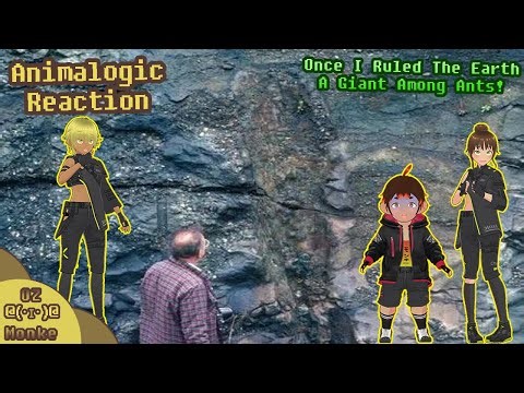 Reject Humanity Return To Mushroom!!! | Animalogic Reaction [OzDaMonke]