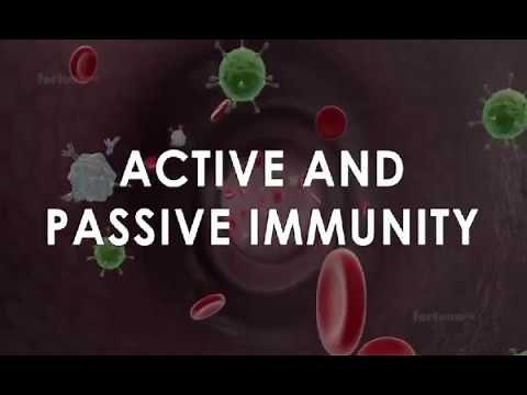 Immunisation and types of immunity / Active and passive immunity !