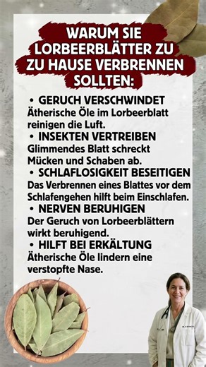 Warum du Lorbeerblätter zu Hause verbrennen solltest 🔥🍃