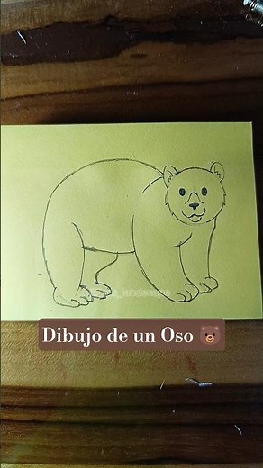 Como Dibujar un Oso Paso a Paso 🐻✨