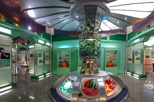 10 Fascinating Museums You Might Not Expect to Find in China’s Capital City