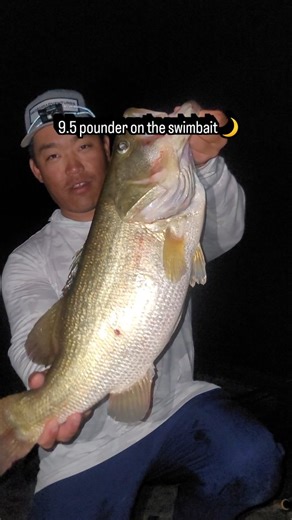 Pro Bass Adventures on Instagram: "@lawlee91 pounding these Pro Bass Lake Baccarac Giants on one of our @rangerboats ! Day and night these Bass gorge on bait. We are experts at studying their fish behavior. We take pride in putting you in the best position for success! @probassadventuresmexico - did you know we have premium packages with fully loaded bass boats at Lake Baccarac?! That's right equipped with Ultrex Quest trolling motors, lithium batteries, 16" Garmin and Lowrance units, down and s