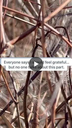 #cancersurvivorship #lymphatichealth #breastcancerrecovery #wellnessaftercancer #lymphedemasupport | Margaret Walborg-Silva