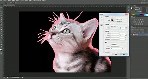PS实战教程之揭开调整边缘工具的神秘面纱