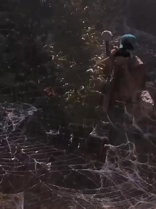 Arachnophobia 1990: 10 Things You Never Knew! #arachnophobia | Stars 1970s