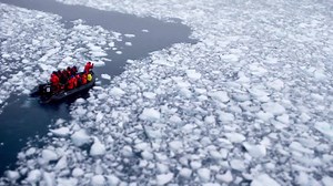 80K views · 540 reactions | Introducing the incredible Antarctica Ice...