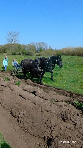 169K views · 2.4K reactions | Jerry Carrick on Reels | Facebook