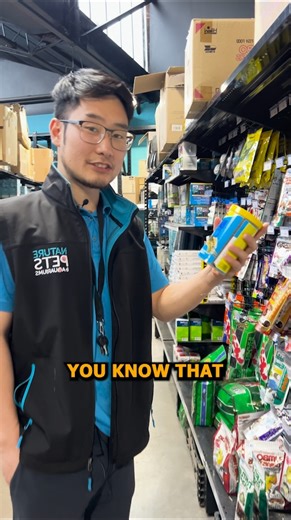 Fish Facts - Freshwater Elephant Nose (Gnathonemus petersii) #elephantnosefish #tropicalfish #tropicalaquarium #aquariumhobbyist #homeaquarium | Nature Pets & Aquariums