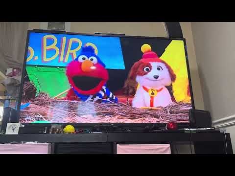 Macy’s Thanksgiving Day Parade 2023: Sesame Street Performance