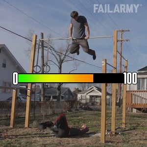 335K views · 1.3K reactions | Need a new workout buddy? So do these people 藍 | FailArmy | Facebook