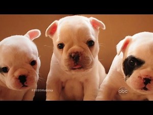 Holidays Unplugged: Seasonal Steals