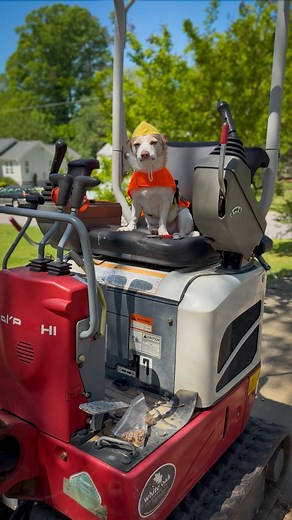 7.8K views · 1.1K reactions | We are so excited about this project!!!...