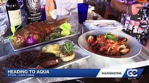 Aqua opens in Cape Coral, featuring the city's only Sky Bar | Haystack News