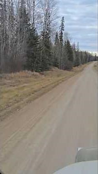 Cat C15 engine Jake brake