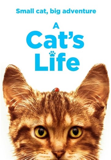 A Cat's Life (2023)