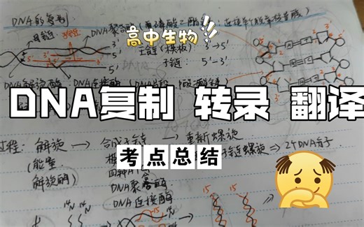 DNA复制 转录 翻译过程 重点考点