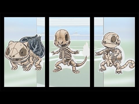 Skeletons of 151 Pokemons |Best Pokemon|