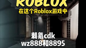 这款游戏看起来不像roblox里的