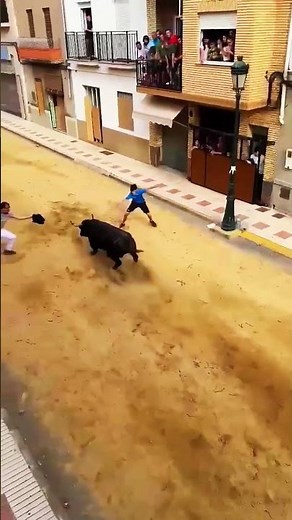 ¡NADIE ESTÁ A SALVO! El susto más real al abrir el cajón #toros #taurino
