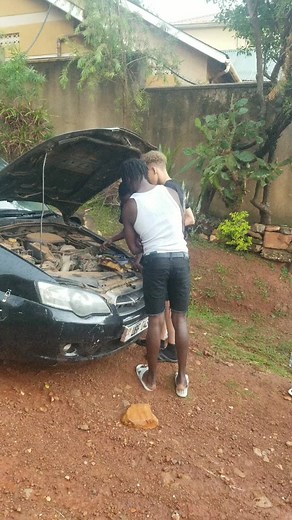 Car Engine Inspection Tips for Beginners