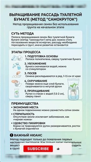 Рассада в «самокрутках»: Метод без земли и грязи! 🌱 #урожай #овощи #советыдачникам #садоводство