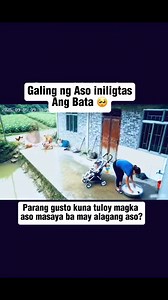 The Dog save the baby from falling 😱 Disclaimer : I Hereby declare that I don't own the rights to this music or song.All rights belong to the rightful owner, No copyright infringement intended and I do not claim to own any of the original songs.For entertainment purposes only. #fblifestyle | I am Bambi