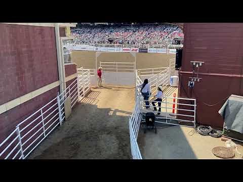 Calgary Stampede 2024 with Bull Riding - Full Experience