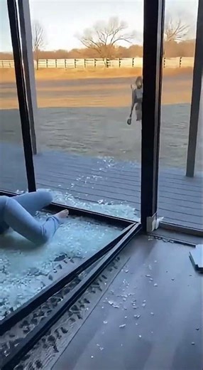 Deer SMASHES Through Glass Door 😱 | Scariest Home Moment Caught on Camera