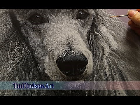 How to create depth when painting fur in acrylics - painting curly/frizzy/long fur tutorial