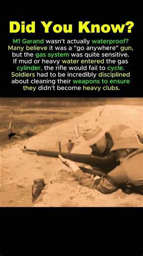 This Mistake Could KILL an M1 Garand 🌧️ #m1garand #ww2history